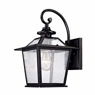 Salem 1-Light Matte Black Wall Light