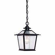 Salem 1-Light Matte Black Hanging Light