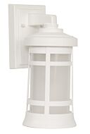 One Light Outdoor Wall Lantern by Craftmade