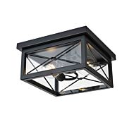 DVI County Fair Outdoor 2-Light Outdoor Flush Mount in Black