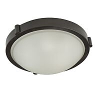 Artcraft Boise Ceiling Light in Oil Rubbed Bronze