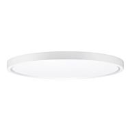 LED Flushmounts Collection 1-Light Flush Mount in White