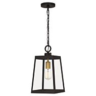 Amberly Grove 1-Light Outdoor Hanging Lantern in Western Bronze