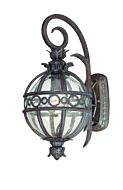 Troy Campanile 17 Inch Outdoor Wall Light in Campanile Bronze