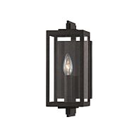 Nico One Light Outdoor Wall Sconce in French Iron by Troy Lighting