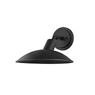 Otis One Light Outdoor Wall Sconce in Textured Black by Troy Lighting