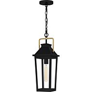 Buckley 1-Light Outdoor Lantern in Matte Black