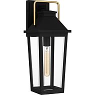 Buckley 1-Light Outdoor Lantern in Matte Black