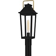 Buckley 1-Light Outdoor Lantern in Matte Black