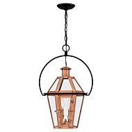 Burdett Two Light Outdoor Hanging Lantern in Aged Copper by Quoizel