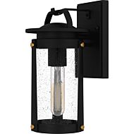 Clifton 1-Light Outdoor Lantern in Earth Black