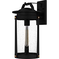 Clifton 1-Light Outdoor Lantern in Earth Black