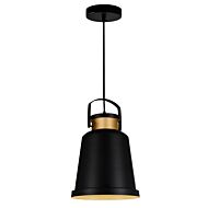 CWI Elisa 1 Light Down Pendant With Black Finish