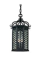 Troy Los Olivos 3 Light 20 Inch Pendant Light in Old Iron