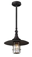 Troy Allegheny 21 Inch Pendant Light in Centennial Rust