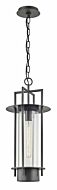 Troy Carroll Park 24 Inch Pendant Light in Bronze