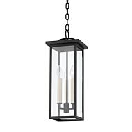 Eden Three Light Outdoor Pendant in Textured Black by Troy Lighting