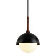 Cadet One Light Pendant in Soft Black by Troy Lighting