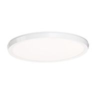 Argo 1-Light LED Flush Mount Ceiling Light in White