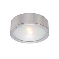 Tube 1-Light LED Flush Mount Ceiling Light in Brushed Aluminum