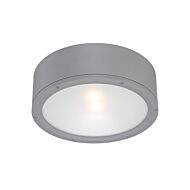 Tube 1-Light LED Flush Mount Ceiling Light in Graphite