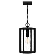 Hazel One Light Outdoor Hanging Lantern in Earth Black by Quoizel