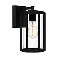 Hazel One Light Outdoor Wall Mount in Earth Black by Quoizel