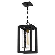 Infinger 1-Light Outdoor Hanging Lantern in Earth Black