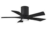 Irene 6-Speed DC 42" Ceiling Fan w/ Integrated Light Kit in Matte Black with Matte Black blades