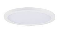 LED Flush Mount