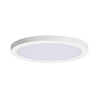 LED Flush Mount