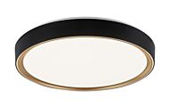 Alamus LED Ceiling Mount in Aged Gold Brass   Matte Black by Matteo Lighting