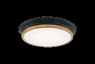 Matteo Jaxx 2 Light Ceiling Light In Black With Aged Gold Brass