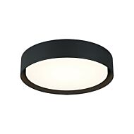 Ezra 1-Light LED Ceiling Mount in Black