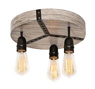 Noah 3-Light Ceiling Mount in Distressed Grey