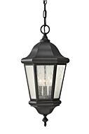 Sea Gull Lighting Martinsville 10 Inch Outdoor Hanging Lantern in Black