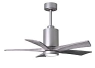 Patricia 1-Light 42" Ceiling Fan in Brushed Nickel