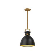 Waldo 1-Light Pendant in Aged Gold with Matte Black