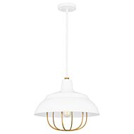 Darmody 1-Light Pendant in White