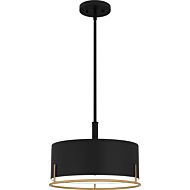 Pendant 3-Light in Matte Black