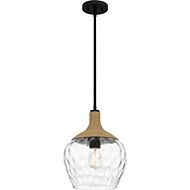 Piccolo Pendant 1-Light in Matte Black