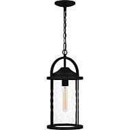 Reece 1-Light Outdoor Lantern in Earth Black