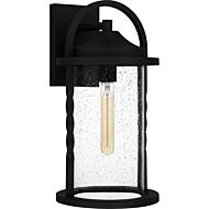 Reece 1-Light Outdoor Lantern in Earth Black