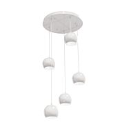 Roxy 5-Light Pendant in White