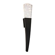 Embrace LED Wall Sconce in Black by Schonbek