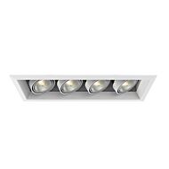 Eurofase Te164A 4 Light Recessed Light in Metal