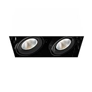 Eurofase Te222Led 2 Light Ceiling Light in Metal