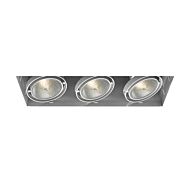 Eurofase Te223 3 Light Ceiling Light in Metal