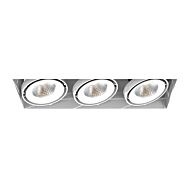 Eurofase Te223Led 3 Light Ceiling Light in Metal