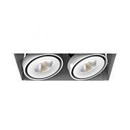 Eurofase Te612Led 2 Light Ceiling Light in Metal